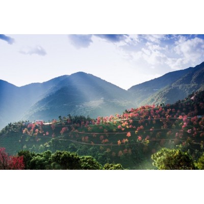 无量山自然风景保护区图2