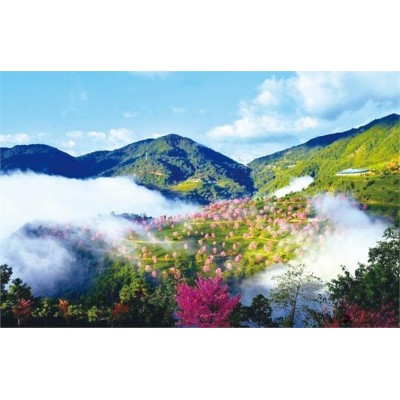 无量山自然风景保护区图5