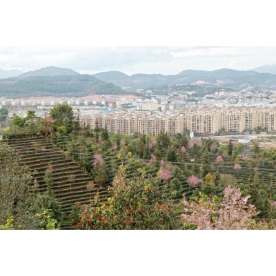 梅子湖公园Meizi Lake Park图4