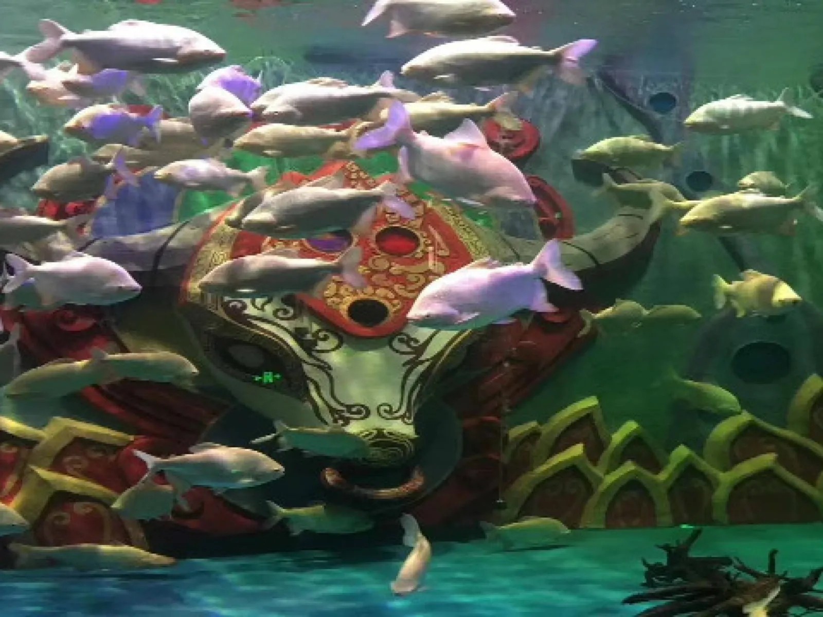 湄公河水底世界