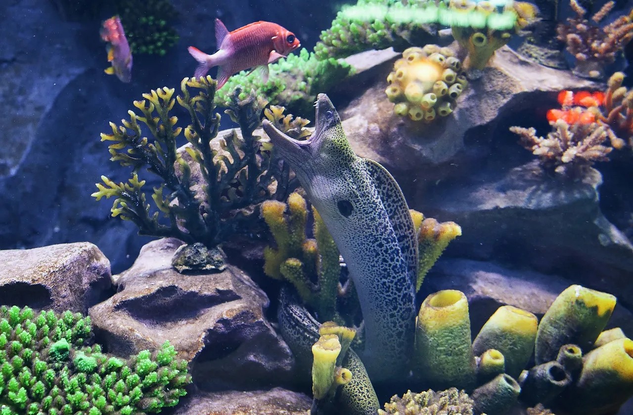 昆明融创海世界