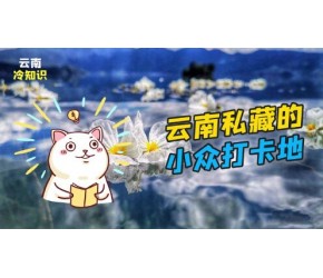 盘点云南必去的景点