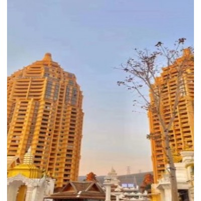 园景双床房图5