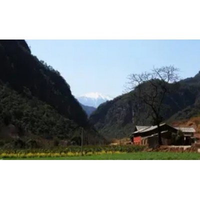 丽江旅游老君山景区九十九龙潭纯玩一日游图2