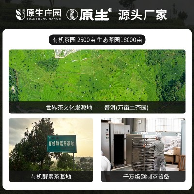 原生茶庄有机黄金茶云南大叶种茶商用黄金茶香气足叶厂家批发1斤图2