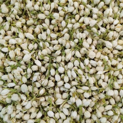 新货茉莉花干散装罐装茉莉花干花茶泡水40克罐装代发批发零售现货1罐图5