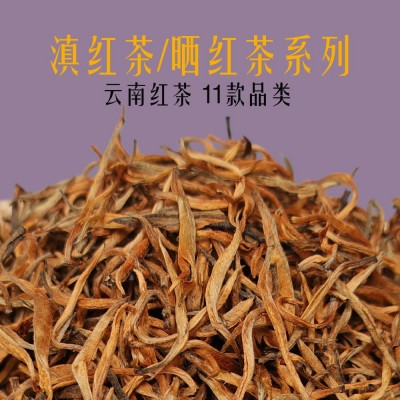云南红茶滇红晒红大金芽金针金丝宝塔500g散装茶叶滇红茶厂家批发1斤