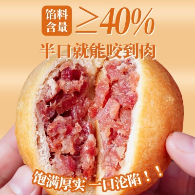 潘祥记云腿月饼50g云南特产宣威火腿酥皮月饼传统中式中秋节糕点10枚