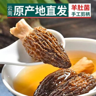 云南羊肚菌干货批发菌汤包羊肚菌5-8 煲汤火锅羊肚菌厂家批发代发 2袋