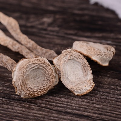 鹿茸菇干货云南特产脆脆菇食用菌干货特级散装鹿茸菇厂家批发 2袋图5