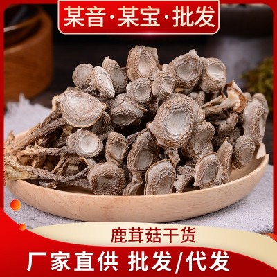 鹿茸菇干货云南特产脆脆菇食用菌干货特级散装鹿茸菇厂家批发 2袋