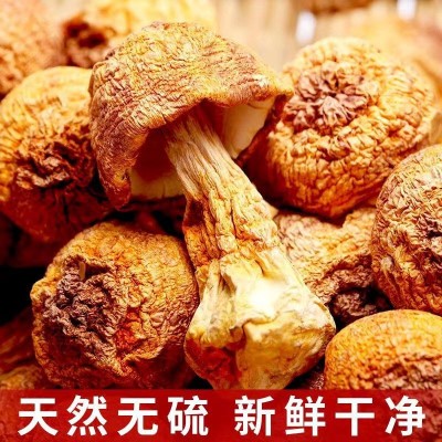 姬松茸食用菌新货云南特产姬松茸菌干货巴西蘑菇小松菇厂家批发 2件图3