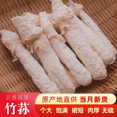 织金竹荪贵州织金干货肉厚无硫竹笙红托织金竹荪特产新货煲汤批发 2斤图2