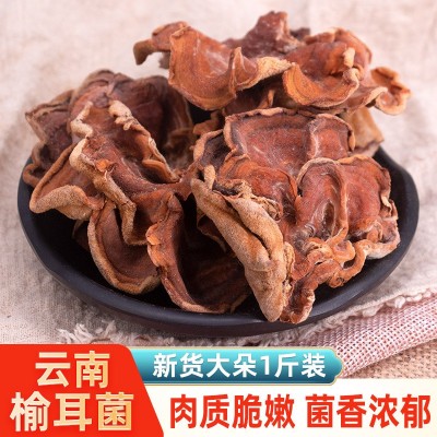 榆耳菌干货肉厚云南菌菇榆菇灵芝菇黄侧耳羊肚耳蘑菇牛肚菌鹿肝菌 2斤