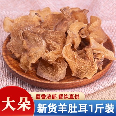 羊肚耳干货云南特产珍珠菌白木耳羊肚竹耳菌沙耳菌蘑菇野生菌批发  2斤