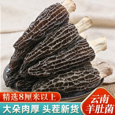 大个羊肚菌干货8-12cm新货短柄云南特产新鲜干羊肚菌汤包菌菇批发 2斤图3