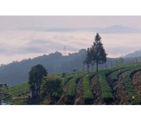 旅行｜五一小长假，自驾云南小众旅行地，探寻普洱和西双版纳傣族村寨