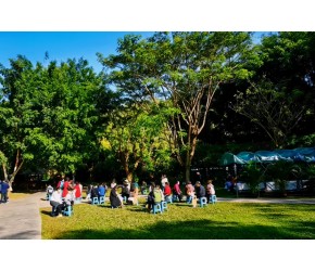 去过中缅边境云南西双版纳的小伙伴们，一定对野象谷景区并不陌生，用镜头带大家看看到底怎么样？
