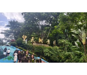 25云南西双版纳勐腊望天树景区