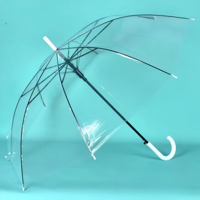透明雨伞女长柄伞网红学生儿童透明伞直柄小清新白色伞印logo10把