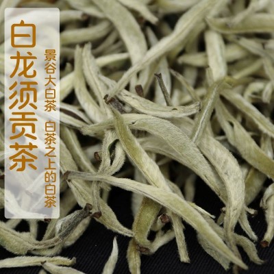 2024年头春景谷大白茶单芽大芽头白龙须白毫银针月光美人5 00g茶叶 1斤