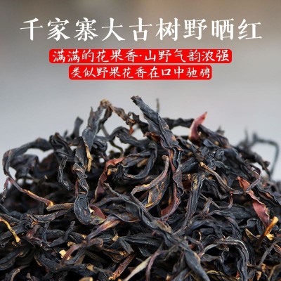 2024春茶千家寨大古树野晒红茶云南滇红野韵花果香500g 滇红茶批发  1斤