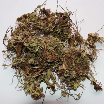 批发云南灯盏细辛 中药材细辛 家种灯盏细辛 2市斤图5