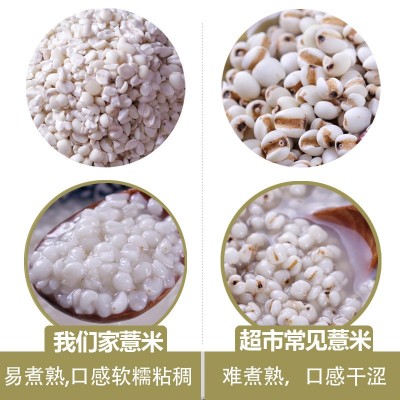 新货云南墨江糯薏米 农家薏苡仁原产地五谷杂粮批发代发 1kg图3