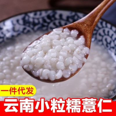 新货云南墨江糯薏米 农家薏苡仁原产地五谷杂粮批发代发 1kg