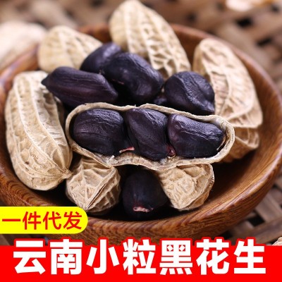 2024新货小粒黑花生带壳生的新货1KG黑皮农家原味云南镇沅特产 1千克