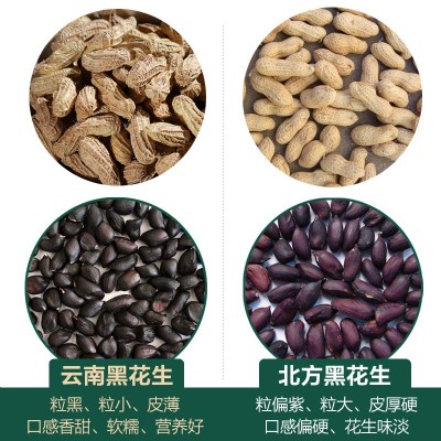 2024新货小粒黑花生带壳生的新货1KG黑皮农家原味云南镇沅特产 1千克图3