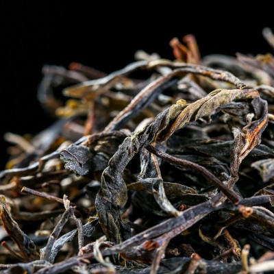 云南普洱生茶头春散茶散料500g普洱茶生茶乔木古树茶叶批发生普1斤