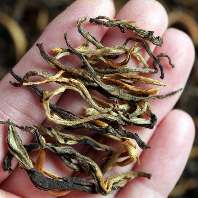 滇红红茶云南凤庆滇红茶古树红茶500g散装大金针茶叶批发红茶特级2斤图3