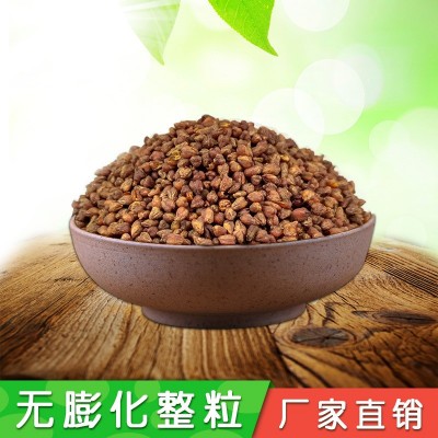 工厂销售云南苦荞茶叶25kg黑苦荞茶荞麦茶全胚铁米香茶2斤