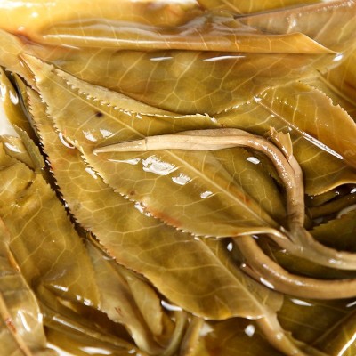2021年冰岛暗香古树茶普洱茶生茶云南七子饼茶叶送人送礼1饼图2