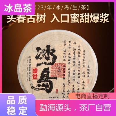 2023年云南普洱茶生茶冰岛古树100克茶饼茶叶1斤