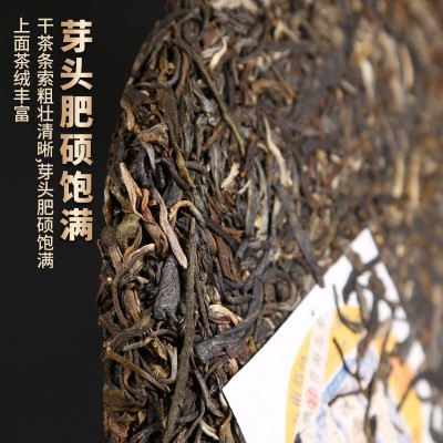 2023年云南普洱茶生茶冰岛暗香古树茶茶叶茶饼送人送礼1饼图3