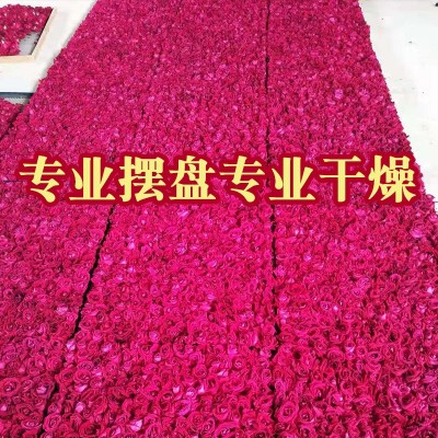 云南墨红玫瑰 干玫瑰花冠 烘干冻干微波干另大量批发花 瓣产地直供2斤图3