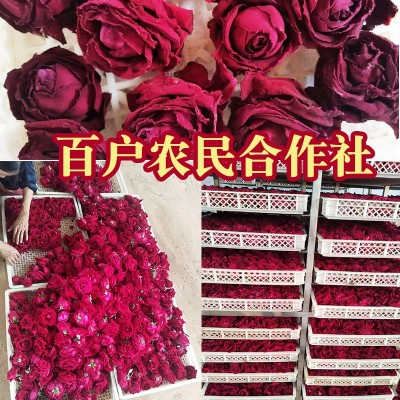 云南墨红玫瑰 干玫瑰花冠 烘干冻干微波干另大量批发花 瓣产地直供2斤图2