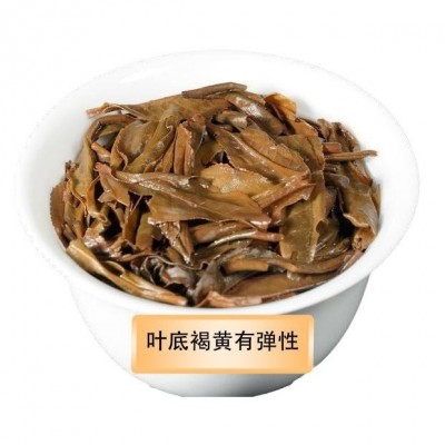 云南普洱茶源头工厂现货天门山普洱茶生茶直发可代发可代加工2饼图5