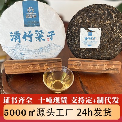 茶云南勐海滑竹梁子普洱古树357g生饼茶叶工厂现货批发普洱茶饼茶1饼