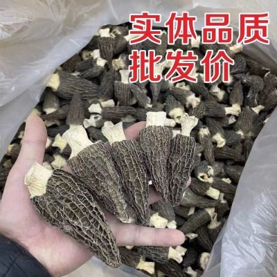 精选羊肚菌干货7-9规格云南原产地头茬新货羊肚菌菇大量批发1斤图2