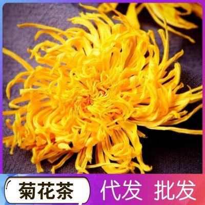 金丝皇菊 菊花茶 产地批发黄菊散装代发大货批发花茶一朵一杯皇菊1件