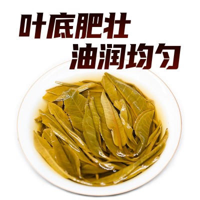 源头茶农批发 勐库纯料懂过磨烈大小户赛云南普洱茶生茶散茶古树4斤图4