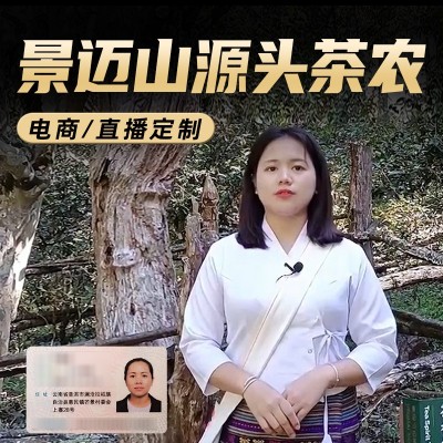 源头茶农真茶批发 景迈山纯料云南普洱茶生茶散茶春茶古树 秋500g2斤