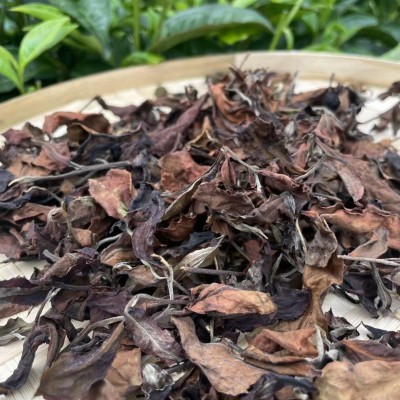 云南嘎巴白茶Gaba White Tea Габа белый чай2斤图3