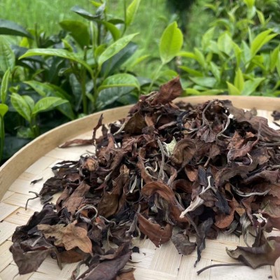云南嘎巴白茶Gaba White Tea Габа белый чай2斤图5