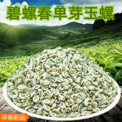 2024年碧螺春茶叶全芽曲毫春芽浓香型云南单芽绿茶散装厂家绿茶批1斤