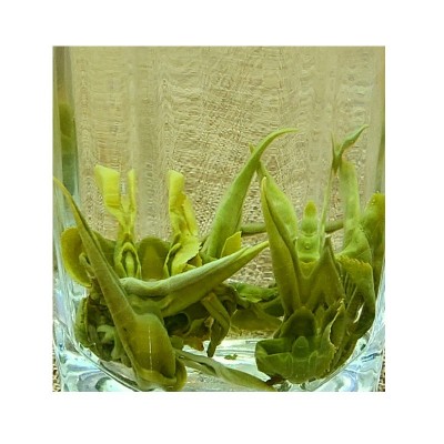 2024年新茶 绿茶 碧螺春 茶叶批发浓香口感清香散装现货工厂500g1斤图5