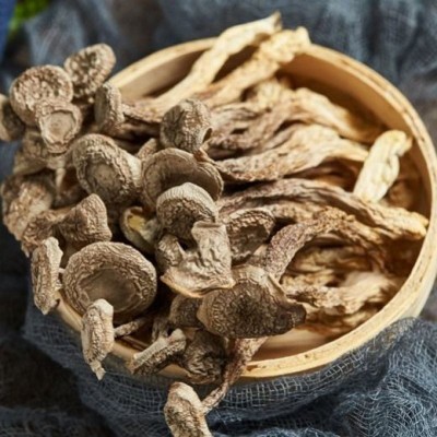 云南特产鹿茸菇干货 厂家批发食用菌鹿茸菌干货批发 产地货源2件
